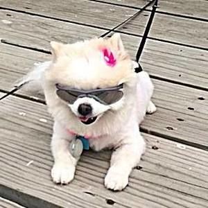 Meet your Posher, Sherina